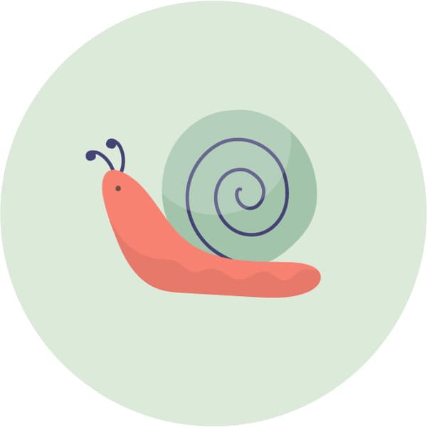 🐌 Kava
