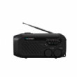 Radio in radio ure