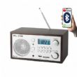 Radio in radio ure