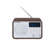 Radio in radio ure