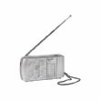 Radio in radio ure