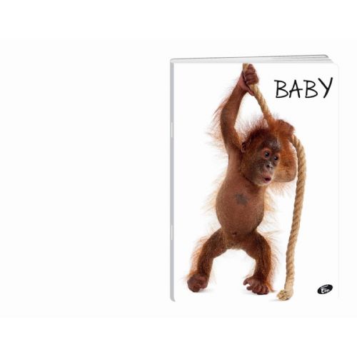 Elisa zvezek Baby, A4, čist