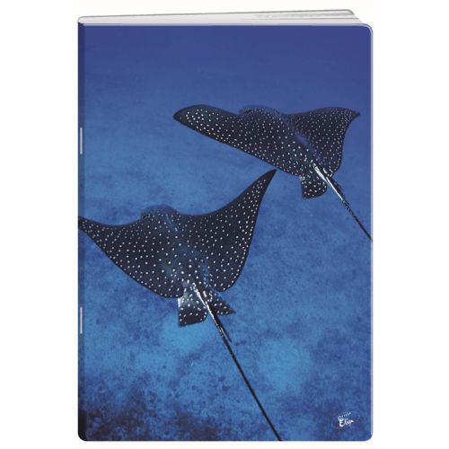Elisa zvezek Deep Blue, A4, črte 271rrospcpjb