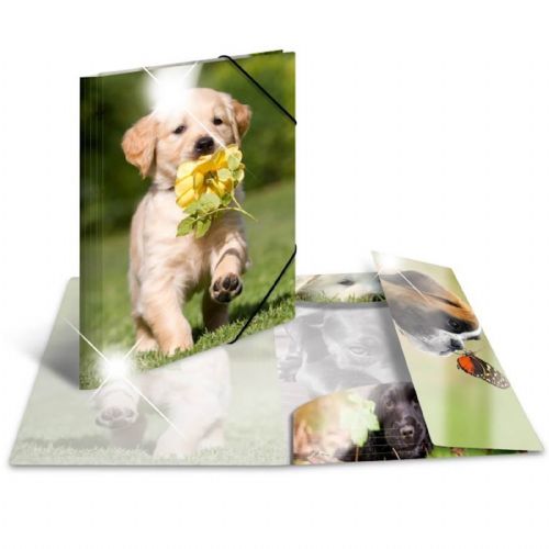 Herma mapa s klapo in elastiko, Glossy, A3 pkher19336