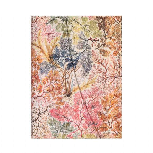 Paperblanks, Anemone, midi, črtni, trde platnice