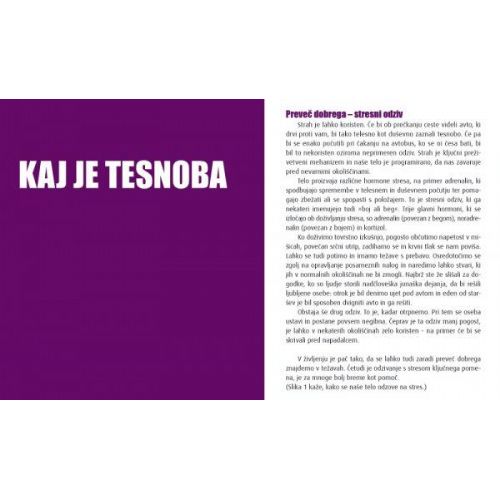 Adijo, tesnoba! 2
