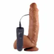 Vibratorji