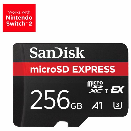 Kartica SanDisk EXPRESS MICRO 256 GB