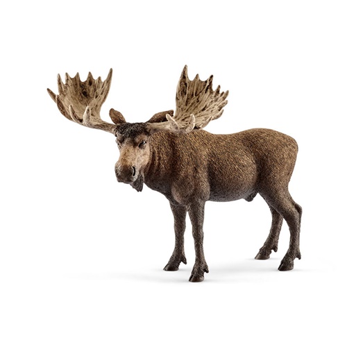 Schleich Wild Life Moose Bull (14781)