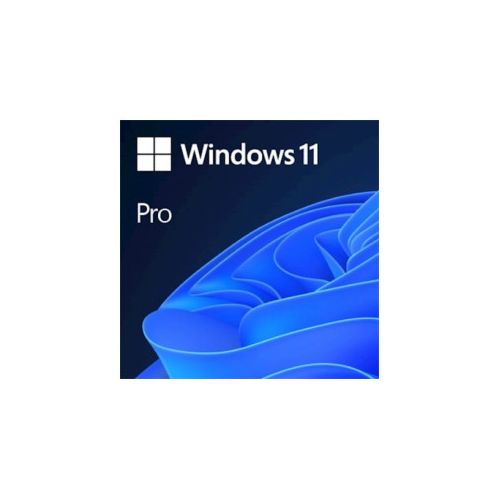 Microsoft Windows Pro 11 FPP slovenski, USB - HAV-00146