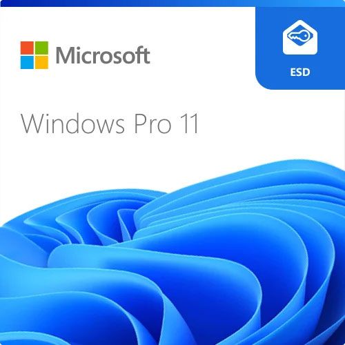 Microsoft ESD Windows Professional 11 64-bit All Languages Online Product Key License 1 License Downloadable ESD NR