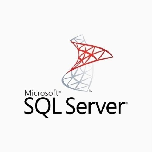 Najem po EES (1 leto) - Microsoft SQL Server Standard LicSA 2 Core License MVL