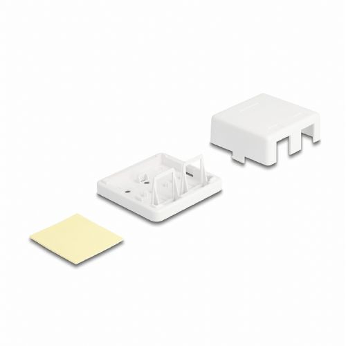Delock nadometna vtičnica 2x RJ45 86207