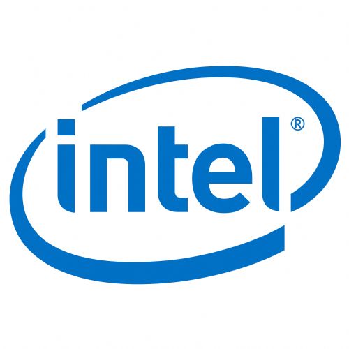 Intel Remote Management Module 4 Lite 2 – adapter za oddaljeno upravljanje