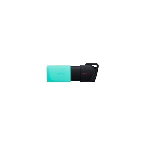 KINGSTON 256 GB DataTraveler Exodia M