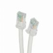 Leviton