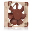 Noctua