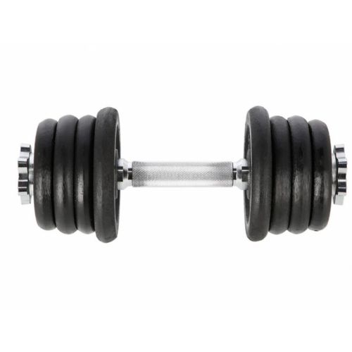 Fitnes ročka z utežnimi diski