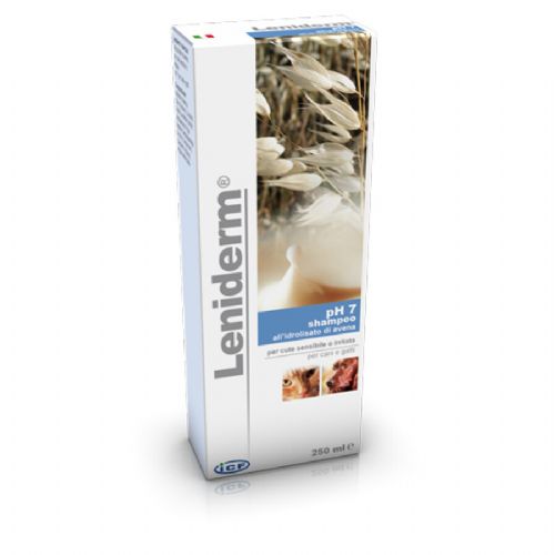 LENIDERM ŠAMPON 250ml  6/1