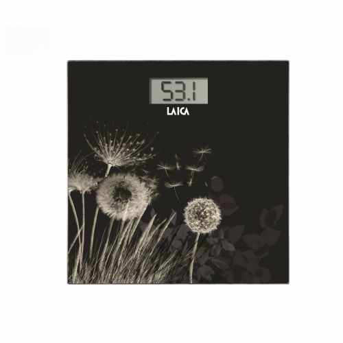 LAICA OSEBNA TEHTNICA USB PS 1080